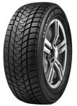 Delinte Winter WD1 165/70 R14 81T