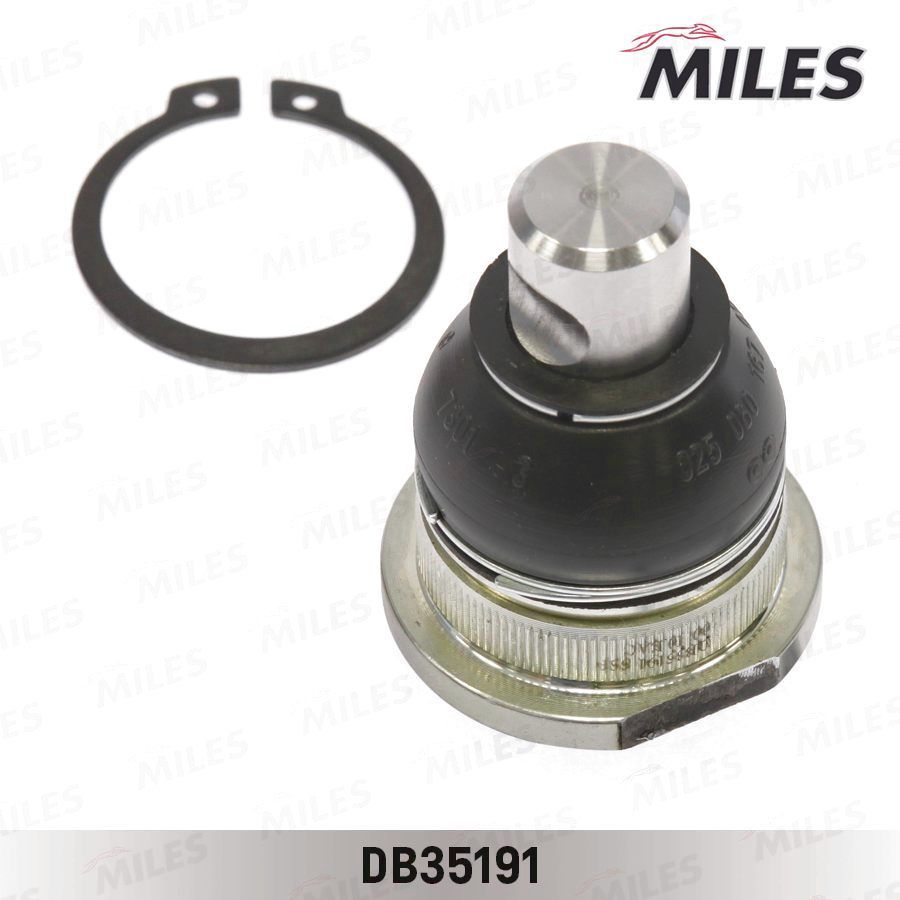 MILES DB35191 Renault
